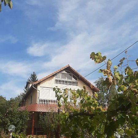 Aleksandar Vila Br Vrdnik Exterior photo