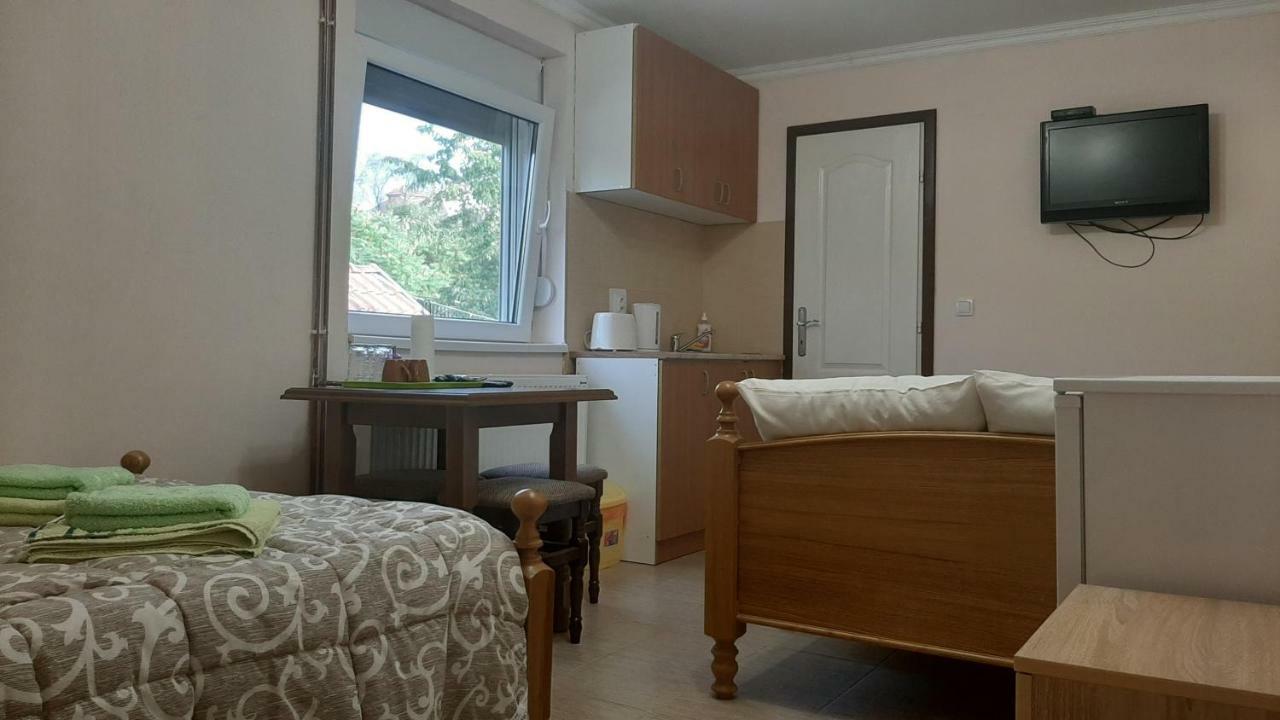 Aleksandar Vila Br Vrdnik Room photo